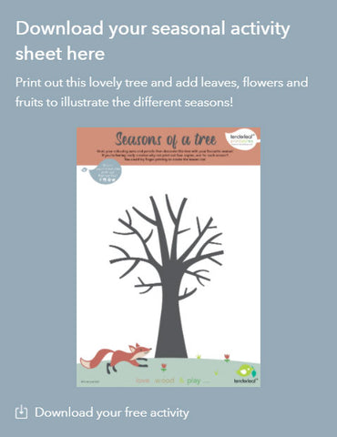 Seasons of a tree Printable